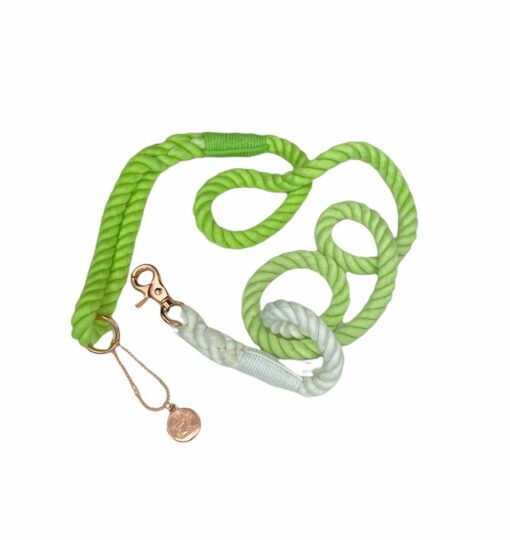 Hanz & Oley - Key Lime Organic Cotton Rope Leash 5ft