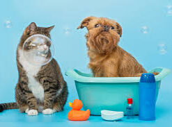 Grooming & Health Care Deals