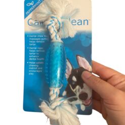 Chomper Dental dog toy