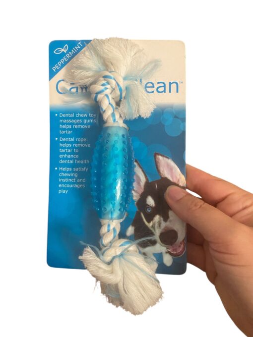 Chomper Dental dog toy