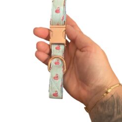 Flamingo Collar SMALL Needs washing - 1 AED Offer