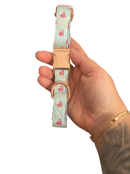 Flamingo Collar SMALL Needs washing - 1 AED Offer