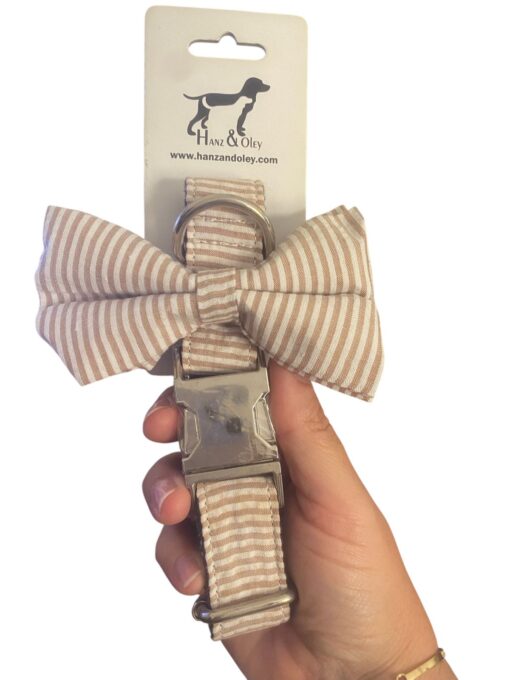 Riverside Collar and Bow Tie - Beige Stripes LARGE SIZE
