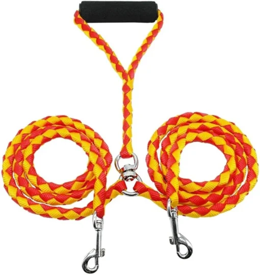 Dual leash