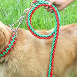 Dog Set (Large: Leash+Collar)