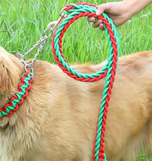 Dog Set (Large: Leash+Collar)
