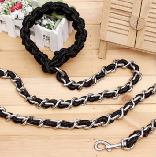 Dog Leash and collar
