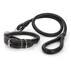 Heavy Duty leash NO collar