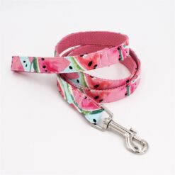 Watermelon Inspired Leash By: Hanz & Oley
